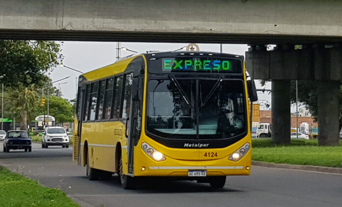 Colectivos